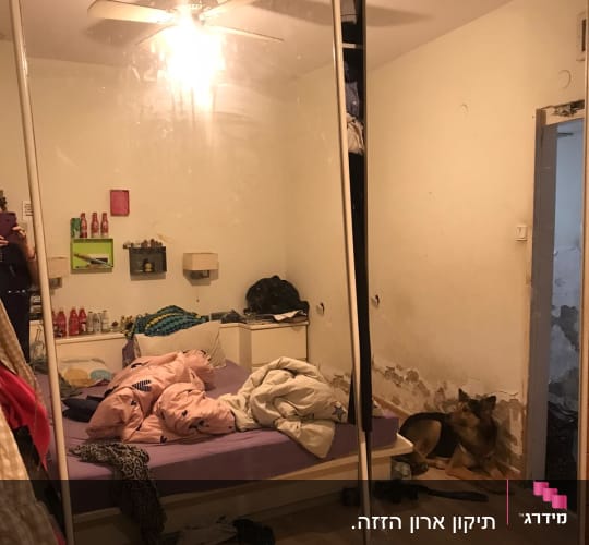 חדר שינה עם מראה גדולה, מיטה מבולגנת וכלב בפינה